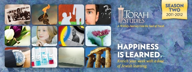 Torah Studies 2012.JPG